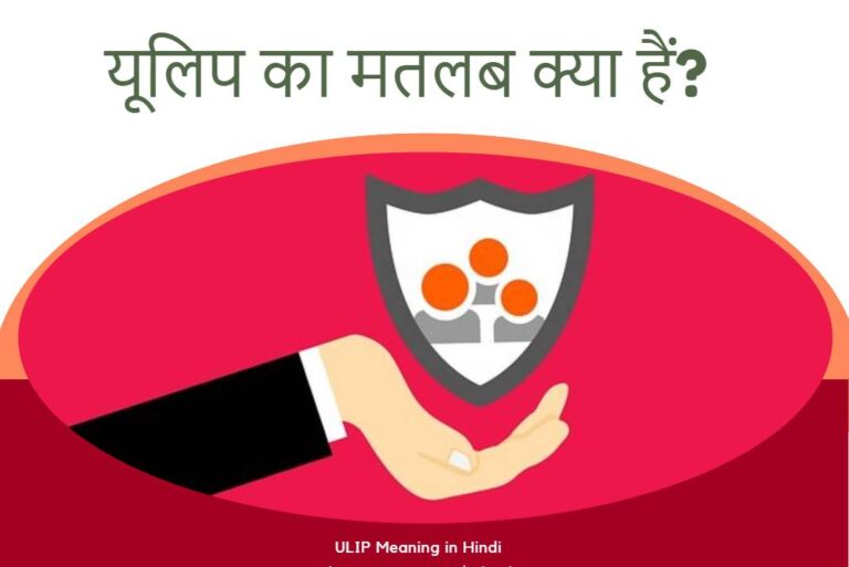 What is ULIP Meaning in Hindi – यूलिप का मतलब क्या हैं